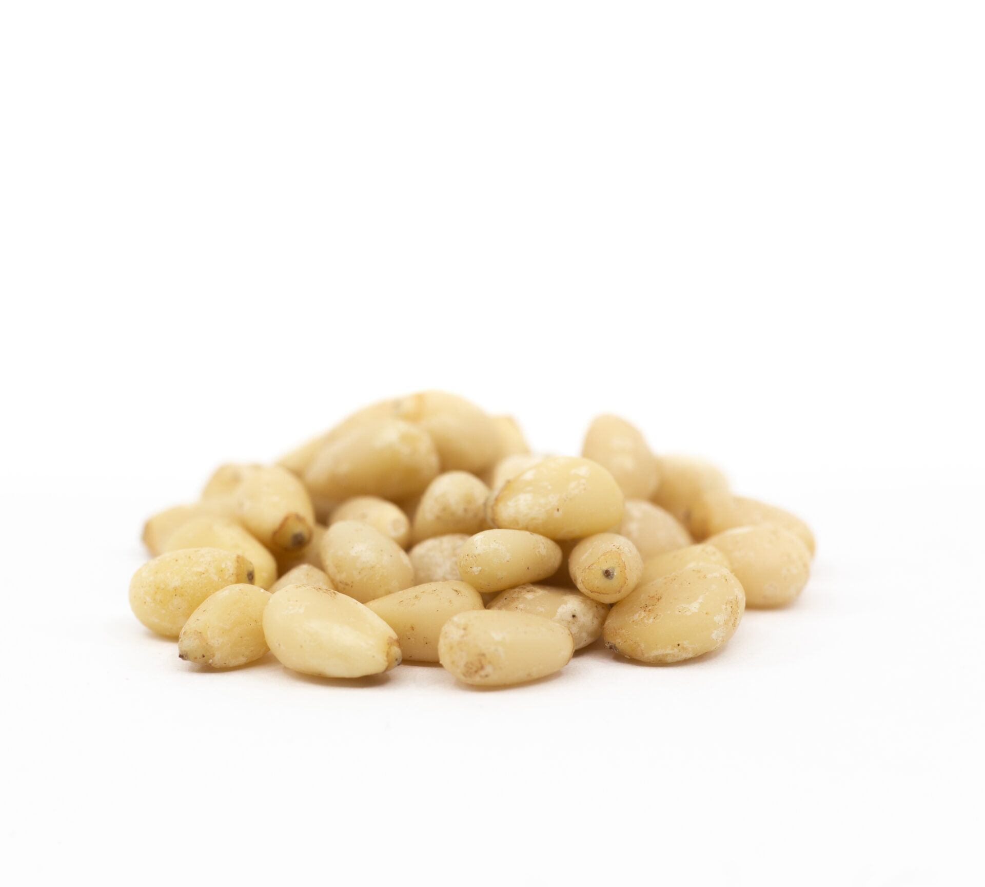 Bulk Pine Nuts - Image 3