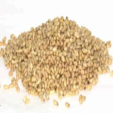 Bulk Pine Nuts - Image 2