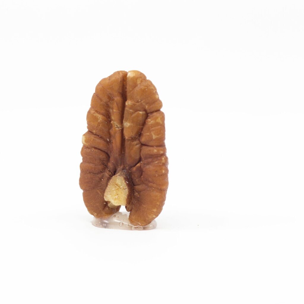 Bulk Pecan Halves