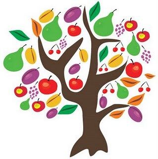 Tu B'Shevat New Year Of The Trees
