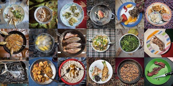 The Evolution Of Diet