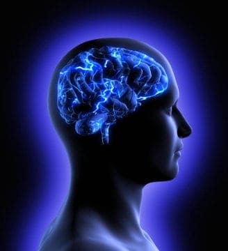 The Brain And Excercise, Brain Needs Excercise