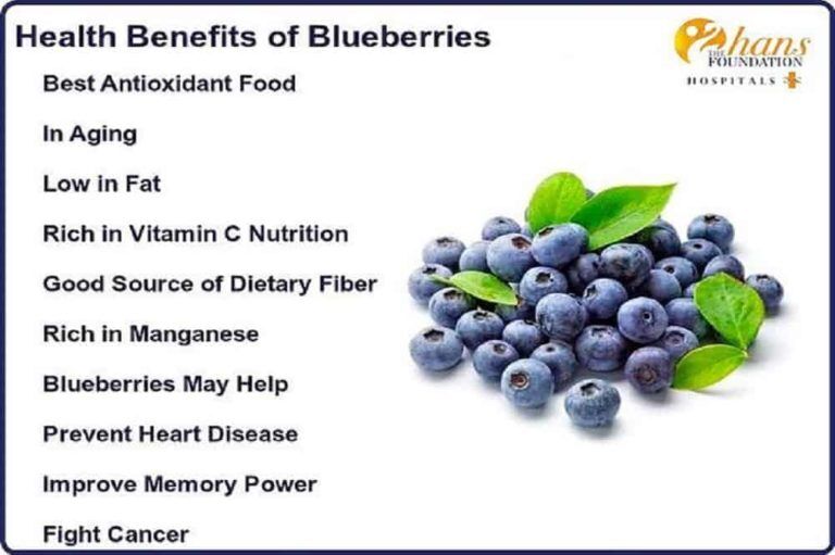 Nutritional Benefits Of Blueberries, Nutritional Benefits Of Dried Blueberries