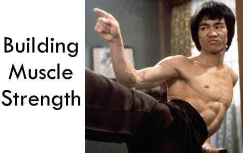 Building Muscle Strength