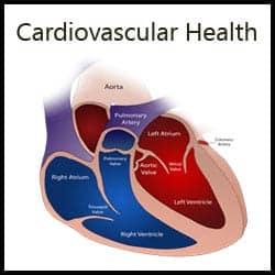 Cardiovascular Health