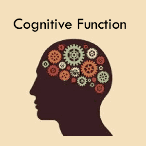 Cognitive Function
