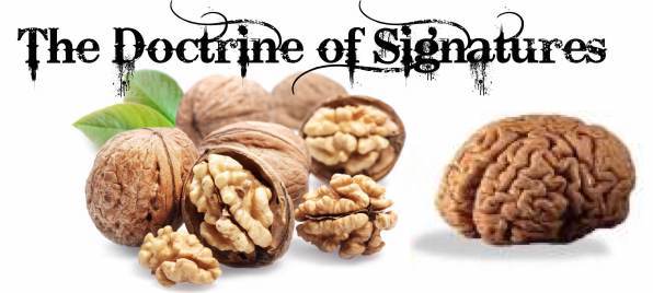 The Doctrine Of Signatures
