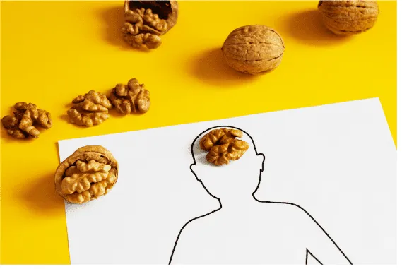 Walnuts Look Like Brains and May Cure Certain Brain Ailments