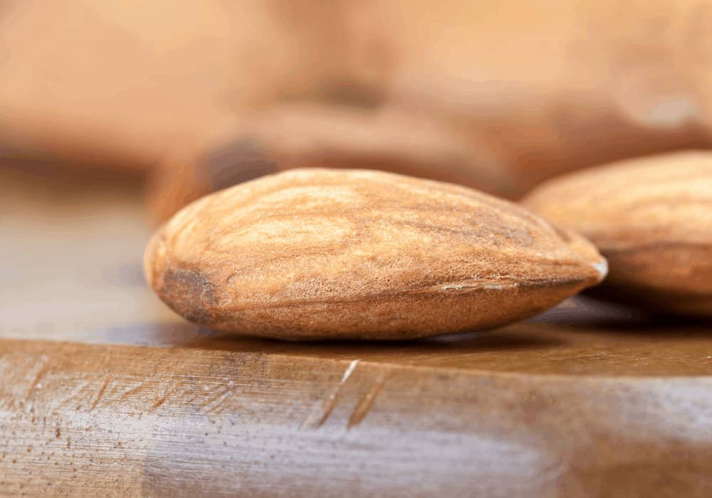 Blue Diamond Almond Company Processing