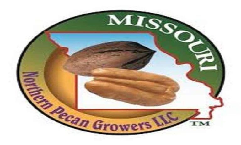 Food Safety And Quality Assurance Manager - Cheshta Sehgal
