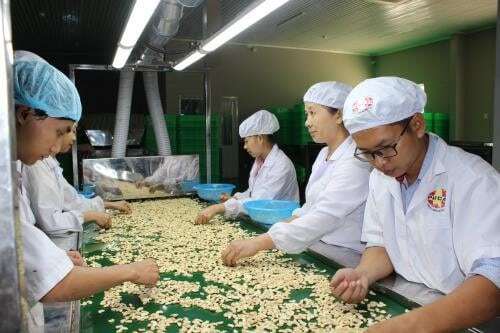 Cashew-Prices-Set-To-Rise