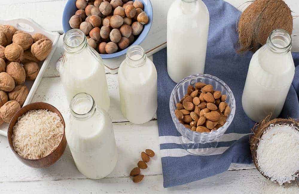 Plant Based Milk Options