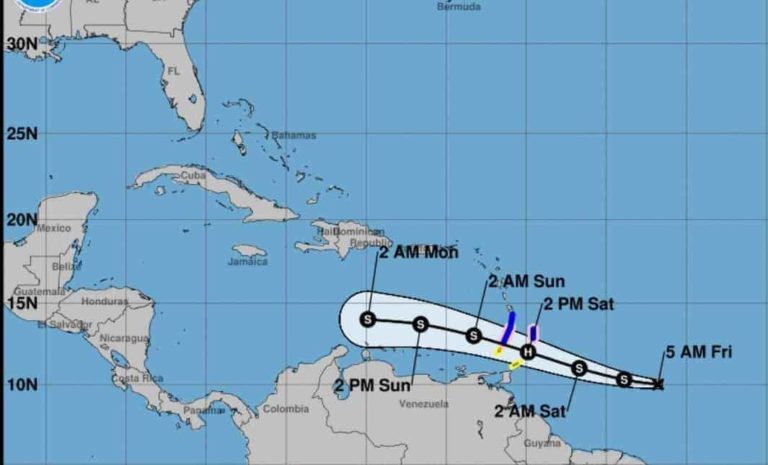 Hurricane Dorian Impact On Fruit Production