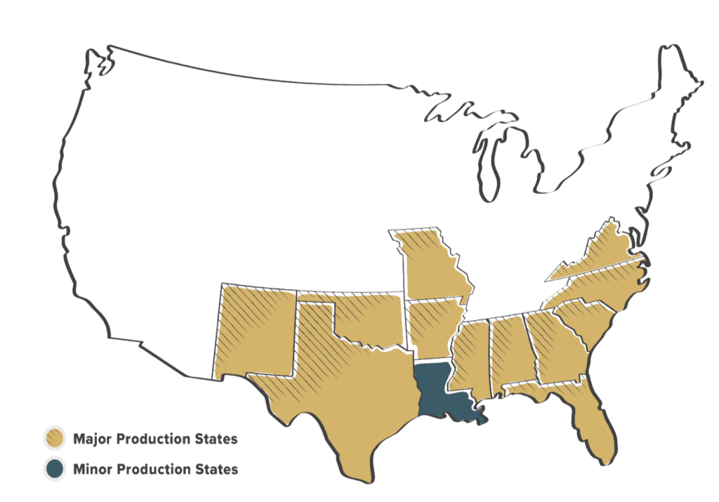 Where Peanuts Grow in America