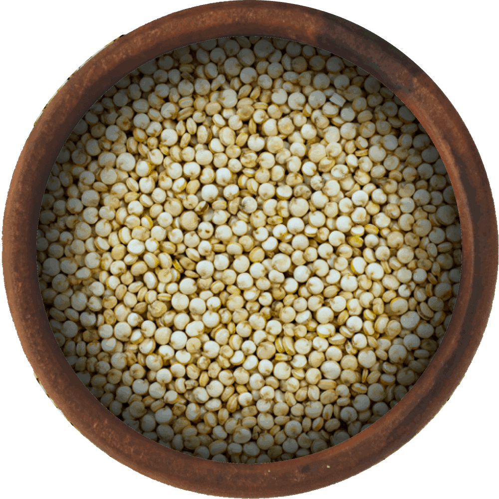 Bulk Quinoa Seeds