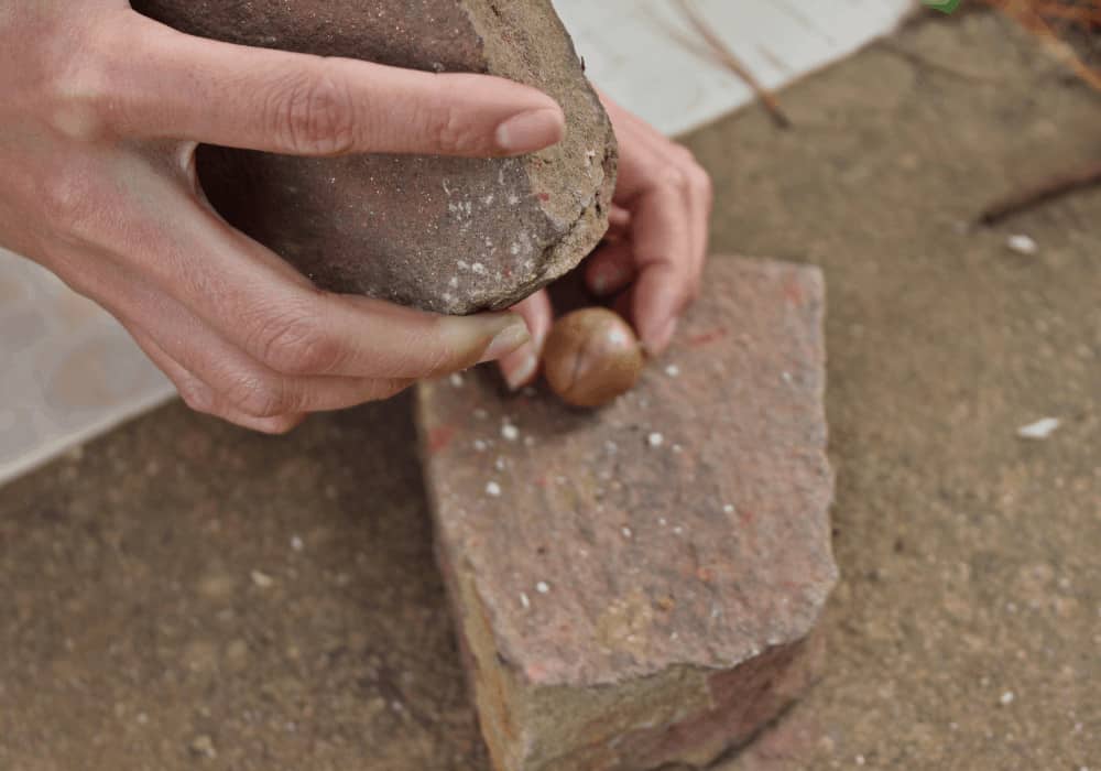 Grinding A Macadamia Nut