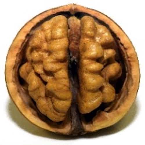 Spiritual Meaning of Walnuts