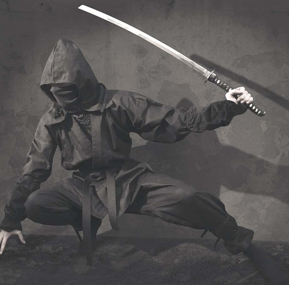 Ninja With A Sword Posing