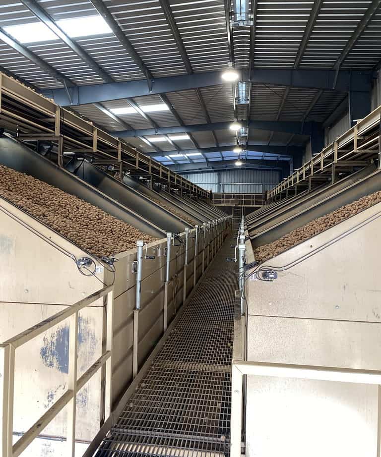 The Drying Of The Water Off The Walnuts