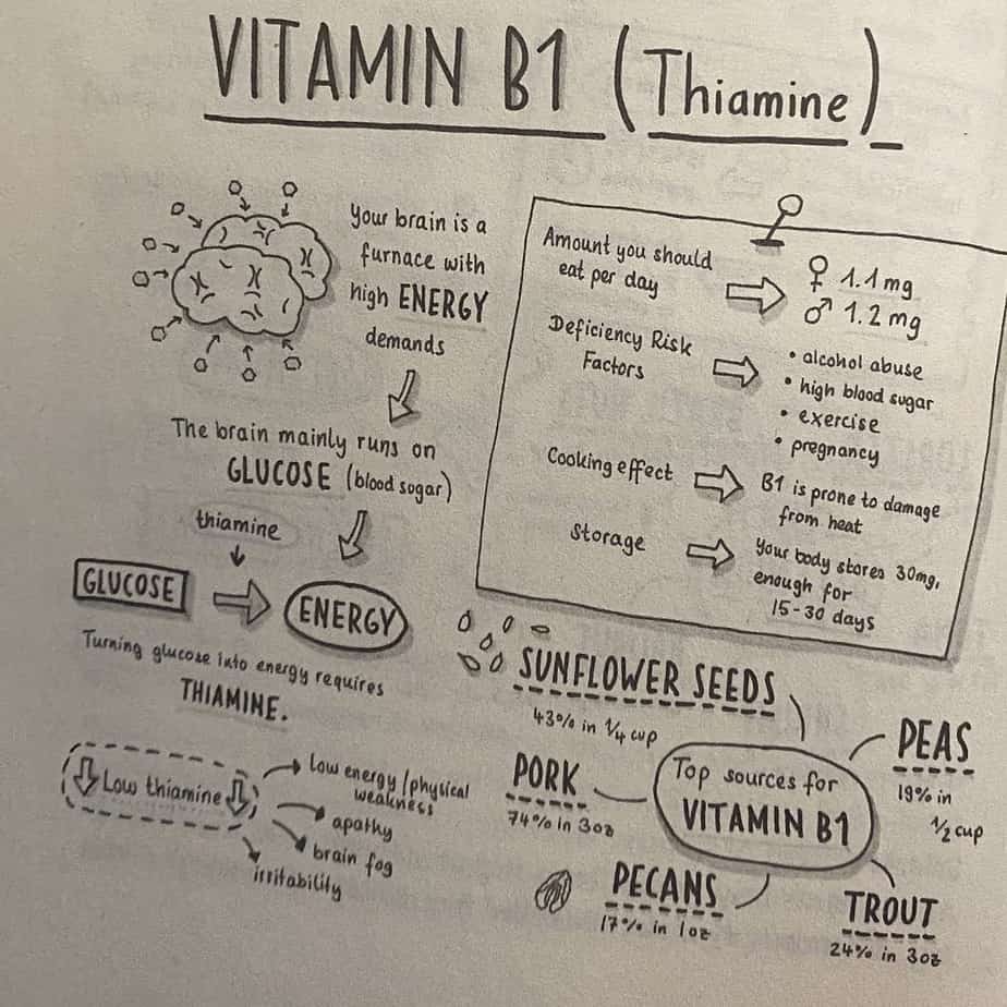 Vitamin B1 In Sunflower Seeds And Pecans Good For Brain Health
