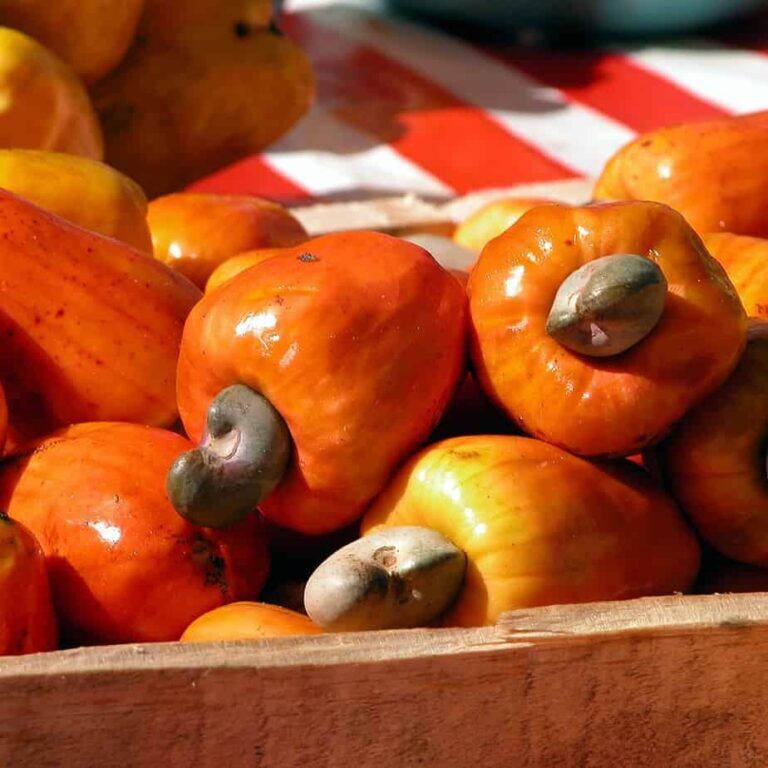 A Bowl Of Fresh Cashew-Fruit