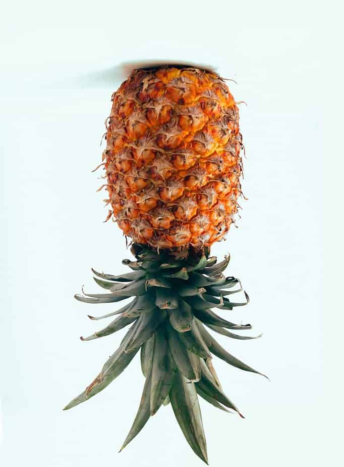 Upside down pineapple, dried pineapple