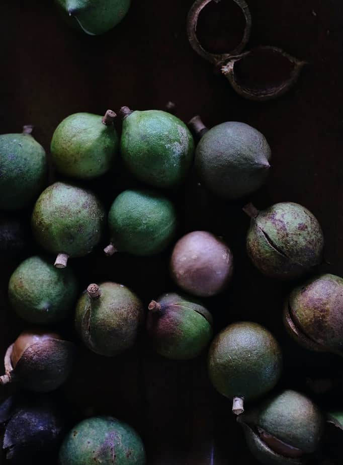 Raw Green Macadamia Nuts In A Shell