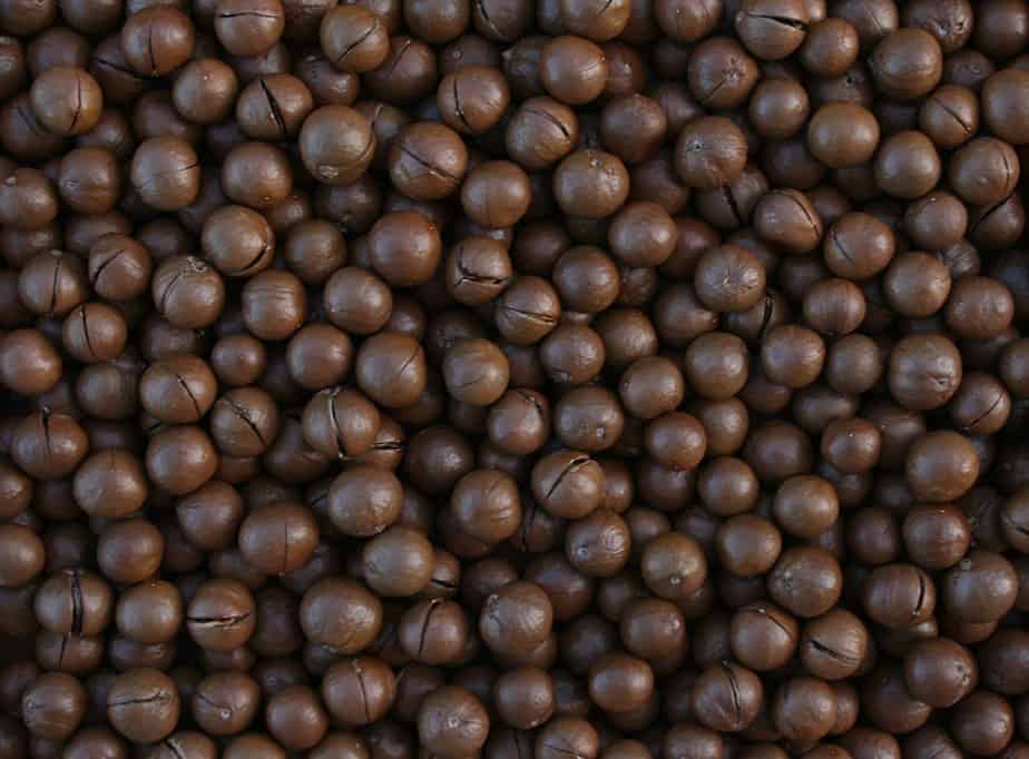 Shelling Macadamia Nuts