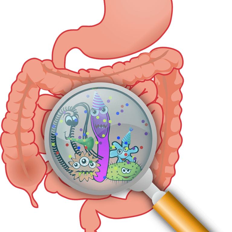 Refined Oils Are Harmful To Gut Health