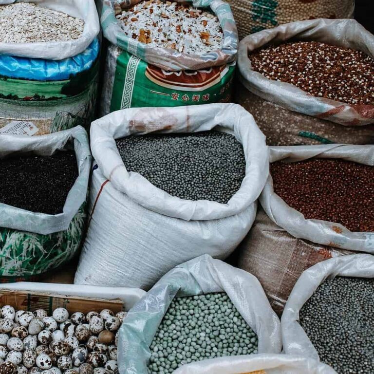The Future Of The Edible Seed Industry