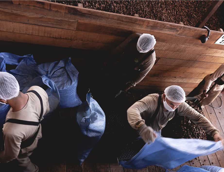 Belen Brazil Nut Shelling Facility.png