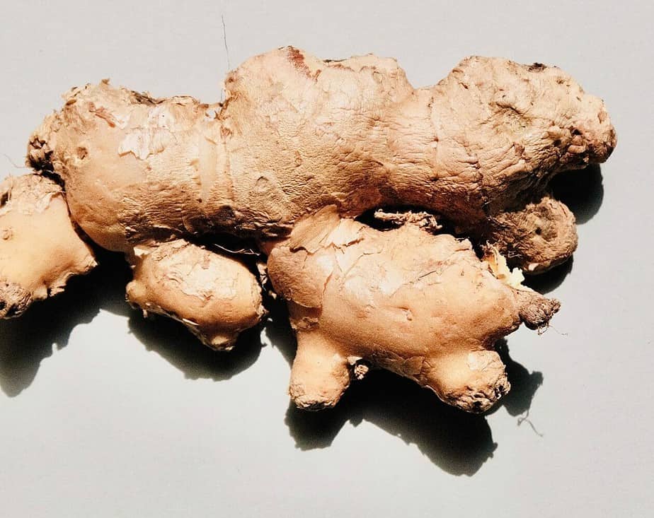 Ginger Alone On A Table
