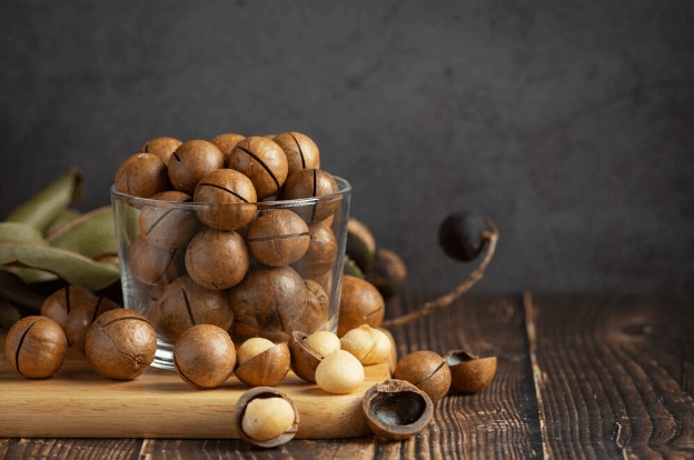 Macadamia Nut Production