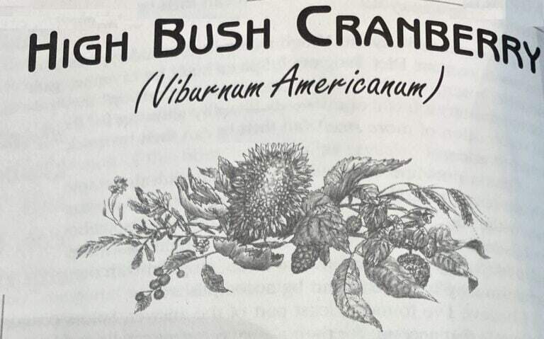 Cranberry Scientific Name