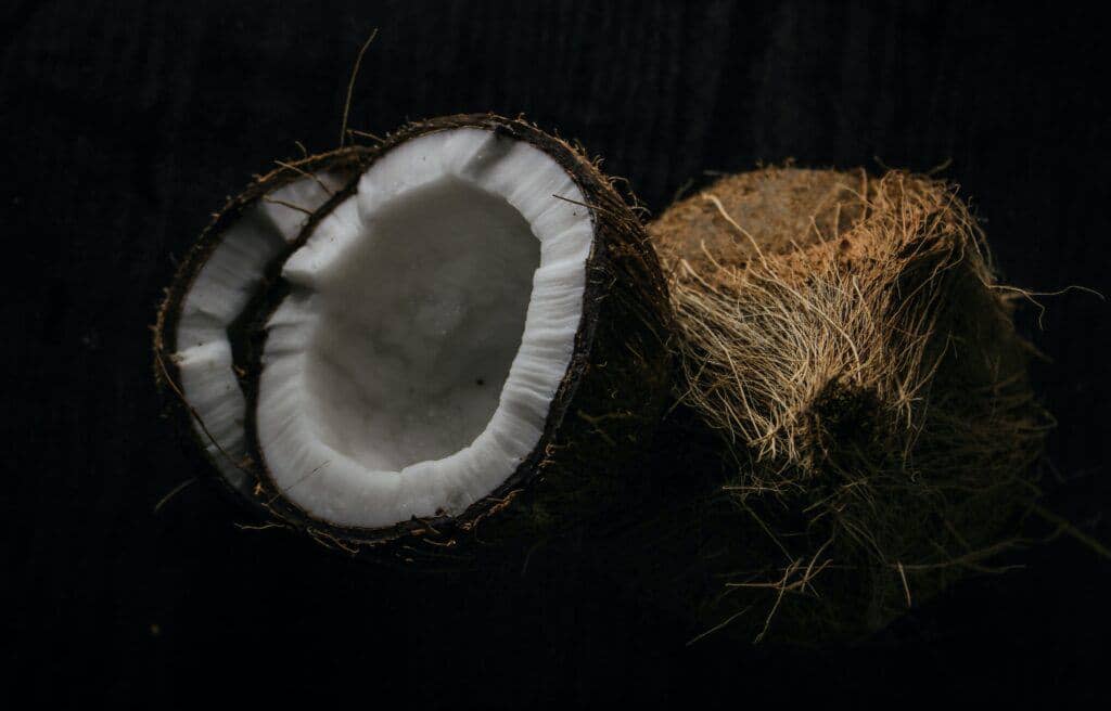 Coconut Oil History Coconuts