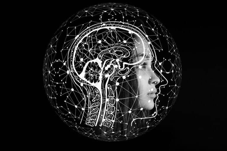 Food Value Of Nuts And Seeds Brain