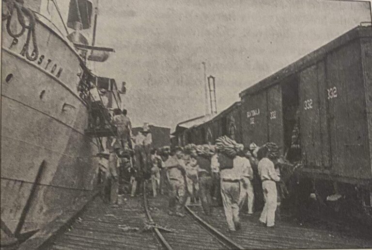 Transporting Bananas To America