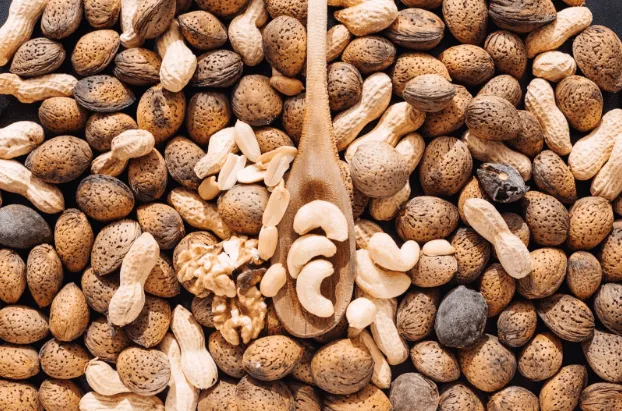 Hidden Types Of Nuts In The Farthest Parts Of The World