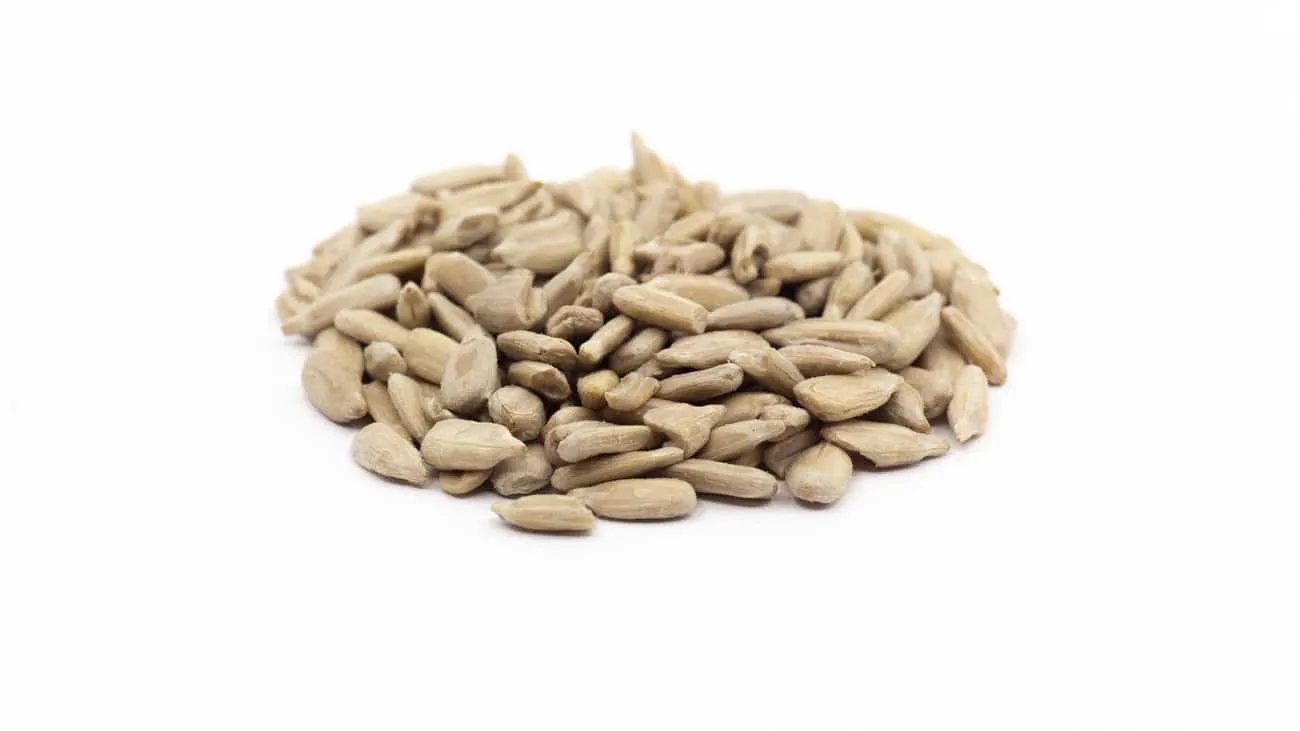 Bulk Sunflower Seeds - Image 4