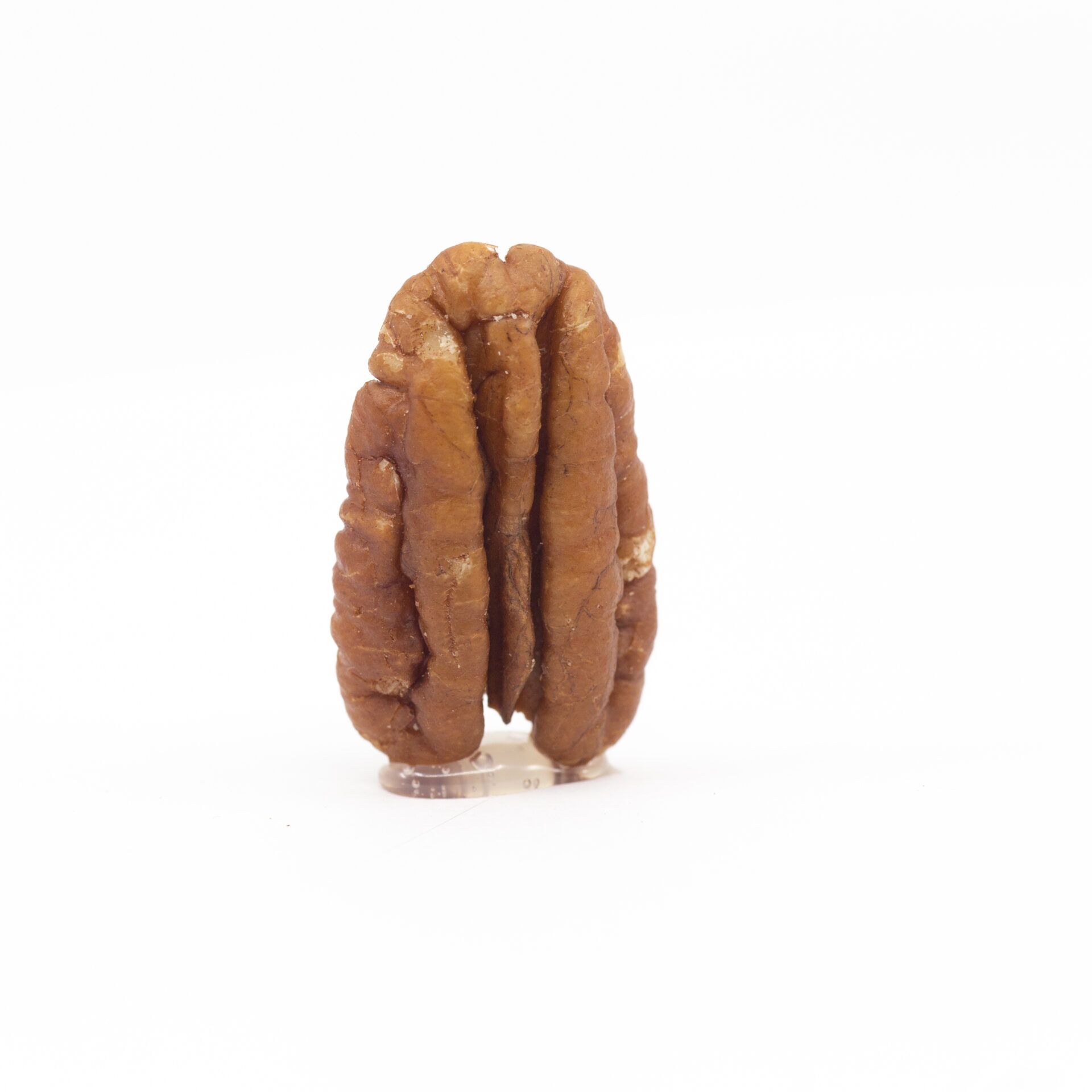 Bulk Pecan Halves - Image 3