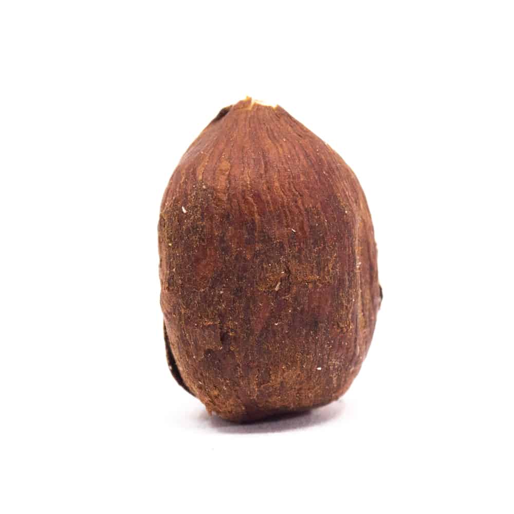 Bulk Hazelnuts With Skin