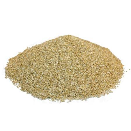 Bulk White Quinoa Seeds