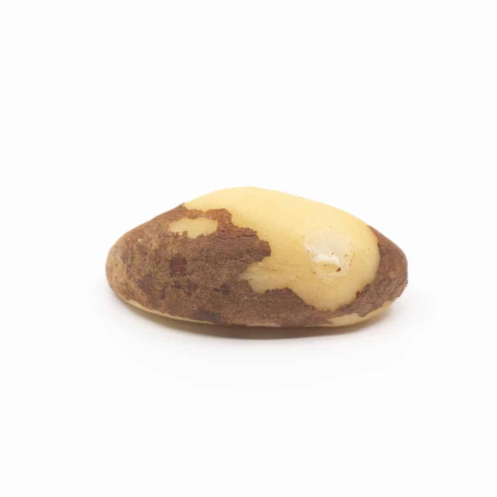 Wholesale Brazil Nuts