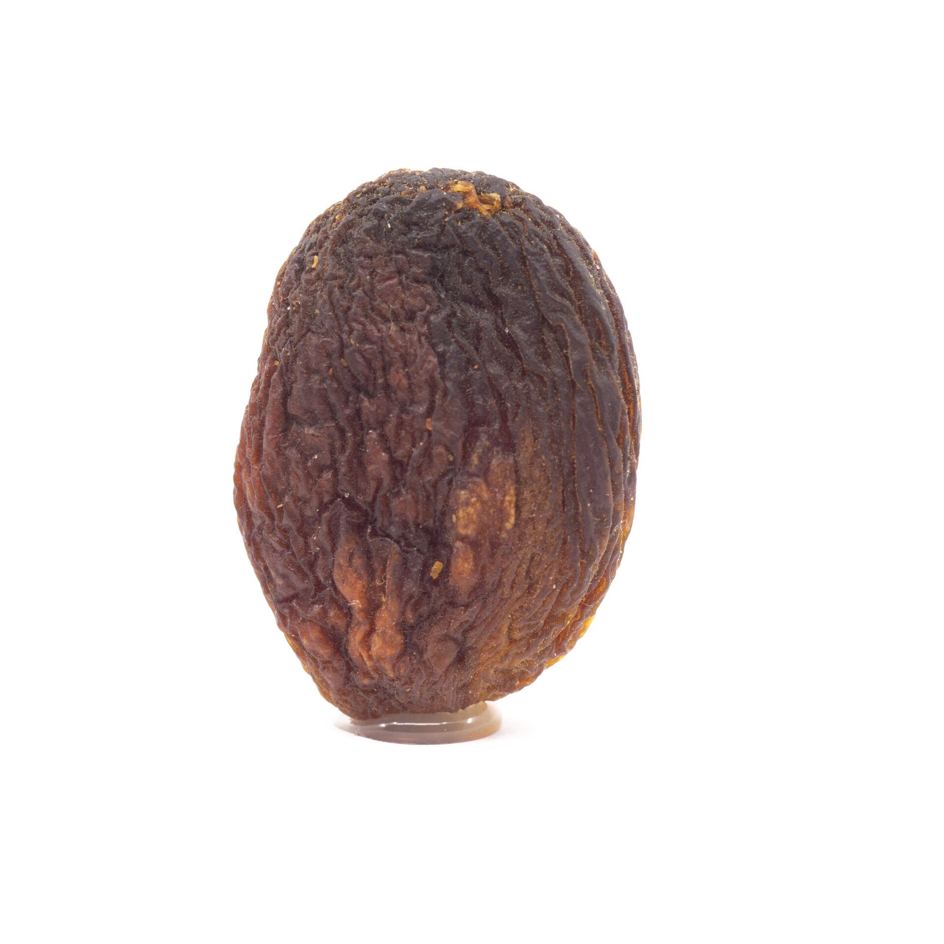 Bulk Organic Apricots