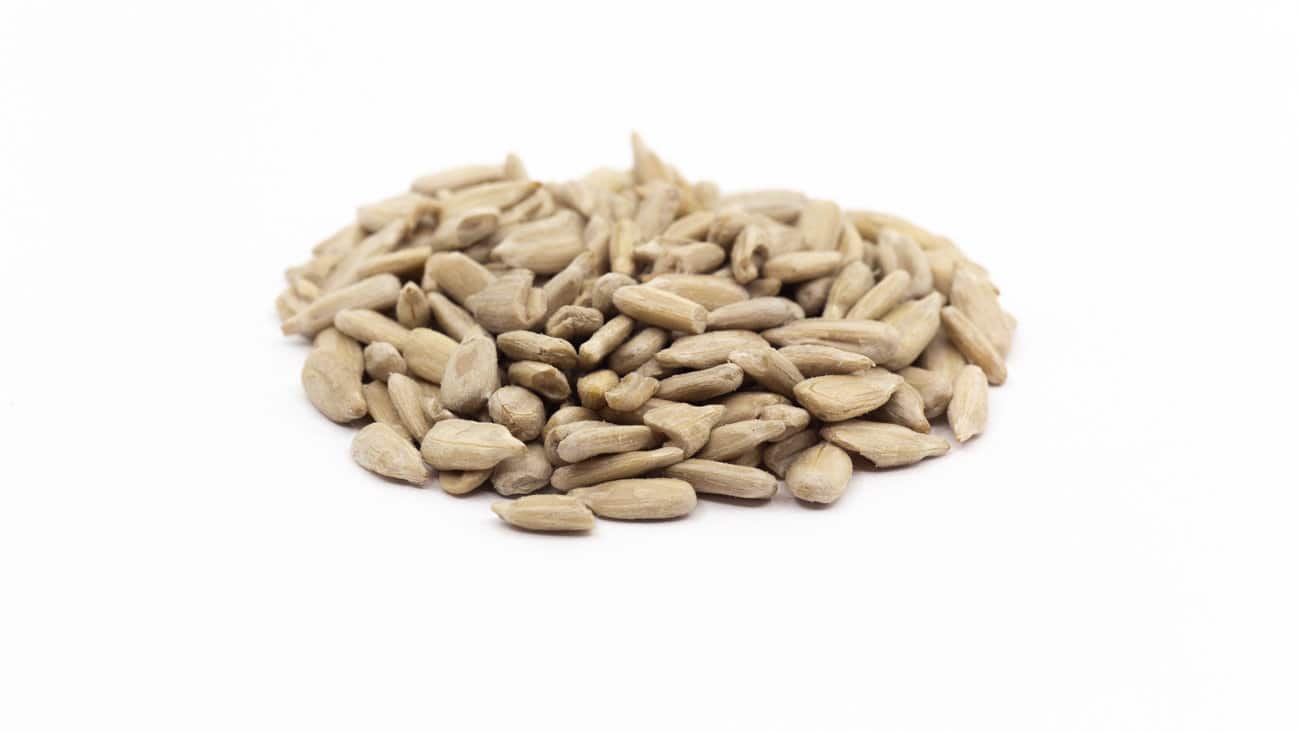 Bulk Sunflower Seeds
