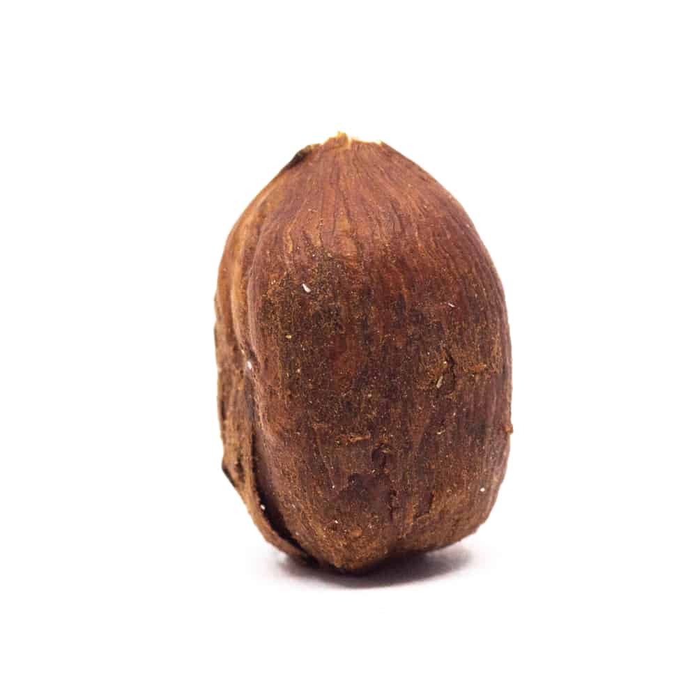 The Health Benefits Of Hazelnuts And The Caveman Diet