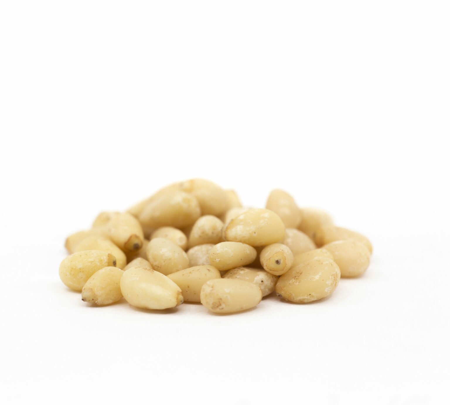 Bulk Pine Nuts Fresh Pine Nuts In Wholesale Amounts
