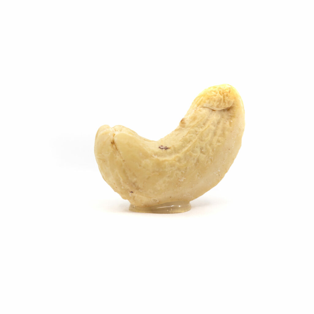 A single raw nut