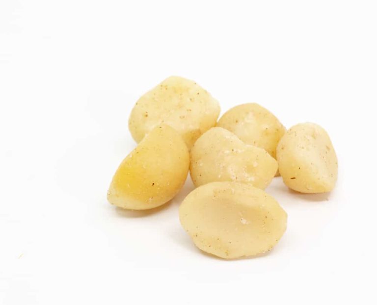 Bulk Macadamia Nuts Wholesale And Fresh Macadamias