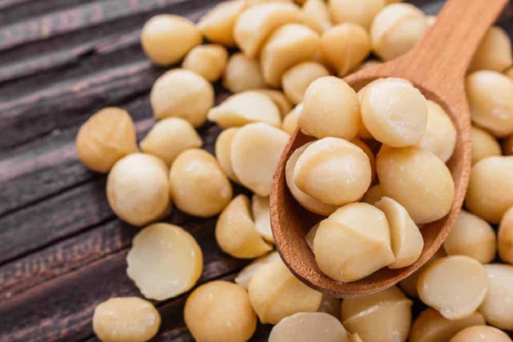 Macadamia nut production increases